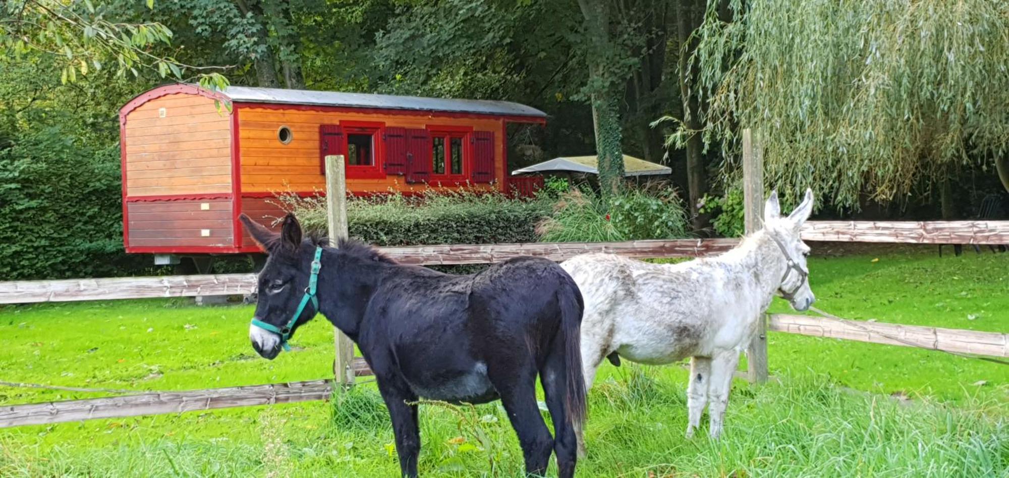 La Fermette Des Ramolleux Villa Crécy-en-Ponthieu Cameră foto